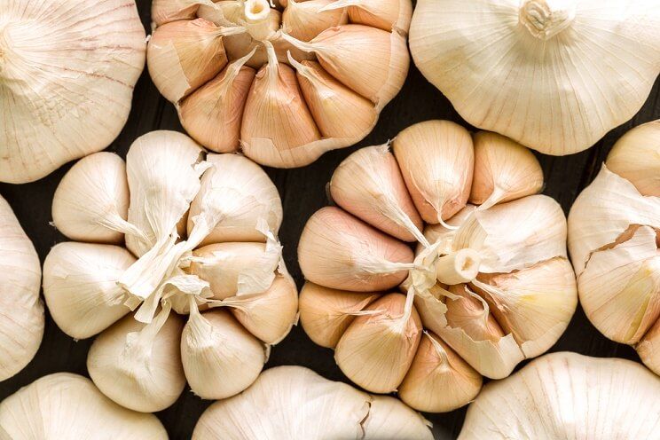 heads of garlic