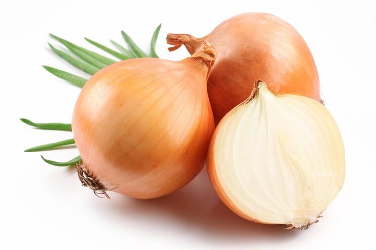 onions on white background