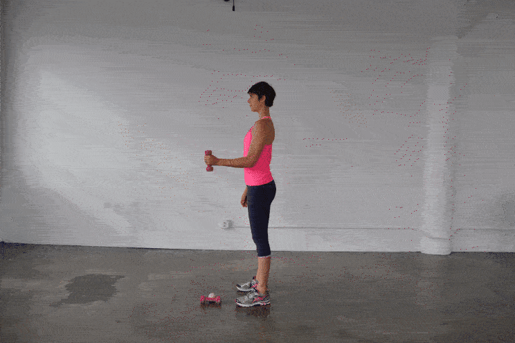 hammer curl forearms exercise gif