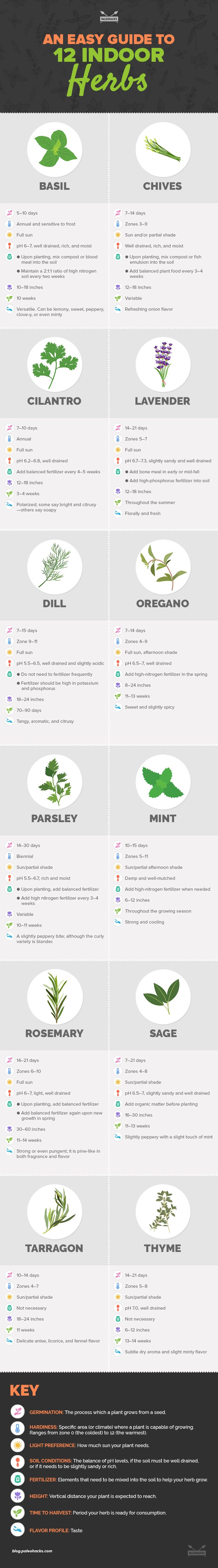 indoor herb garden infographic