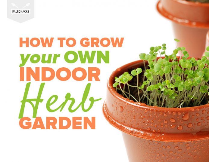 How to Grow Your Own Indoor Herb Garden in a Small Space