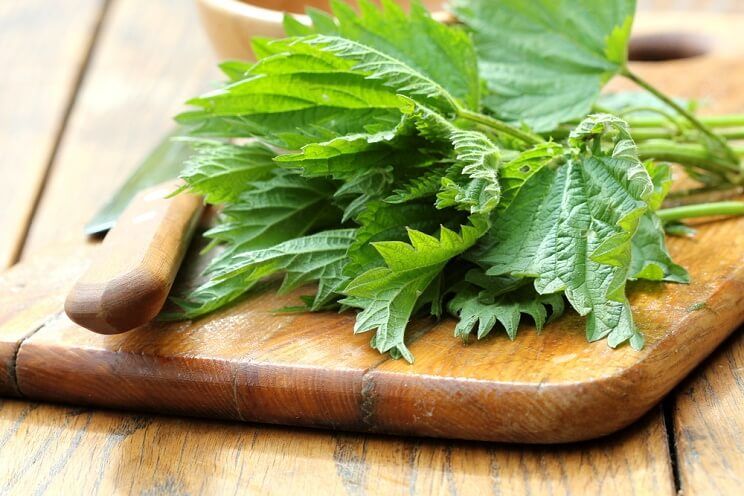 stinging nettles on a cutting board