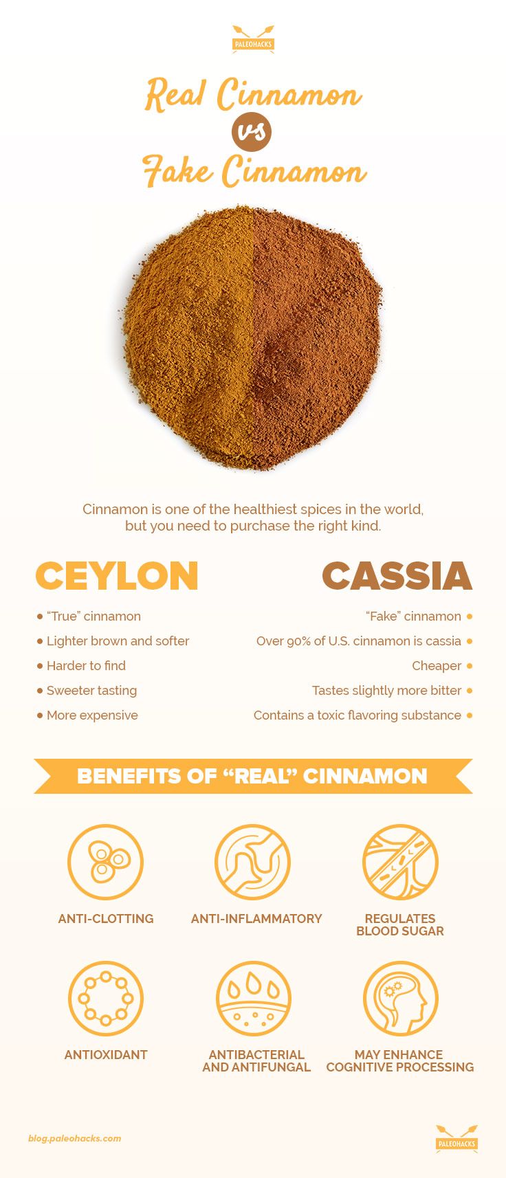 cassia and ceylon cinnamon infographic