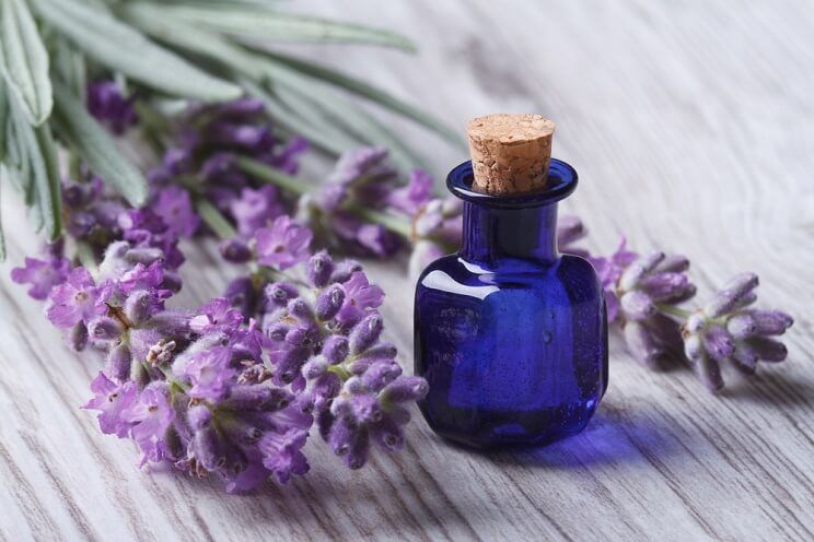 small bottle of lavender essential oil