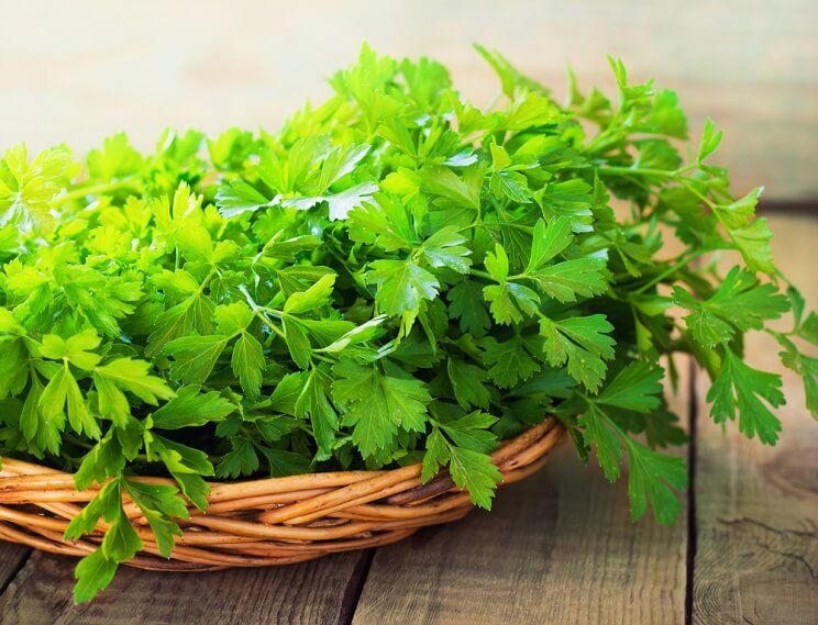 parsley in a basket