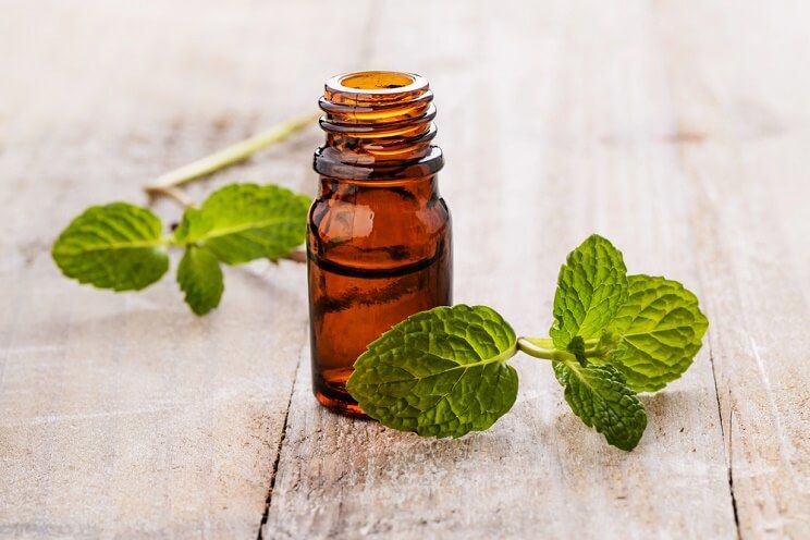 peppermint essential oil