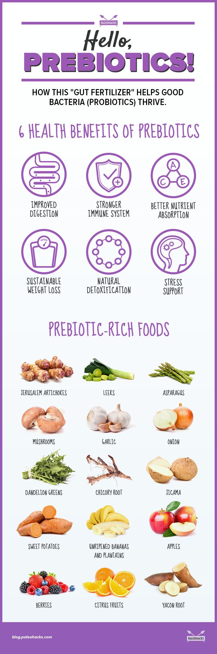prebiotics infographic