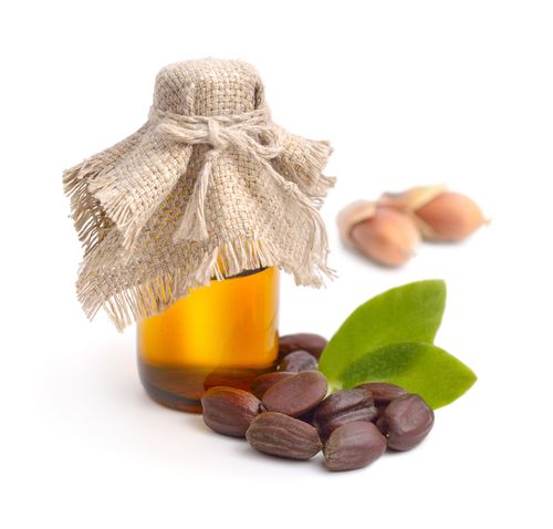 Jojoba Oil and seeds