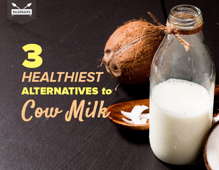 healthiest alternatives to cow milk title card