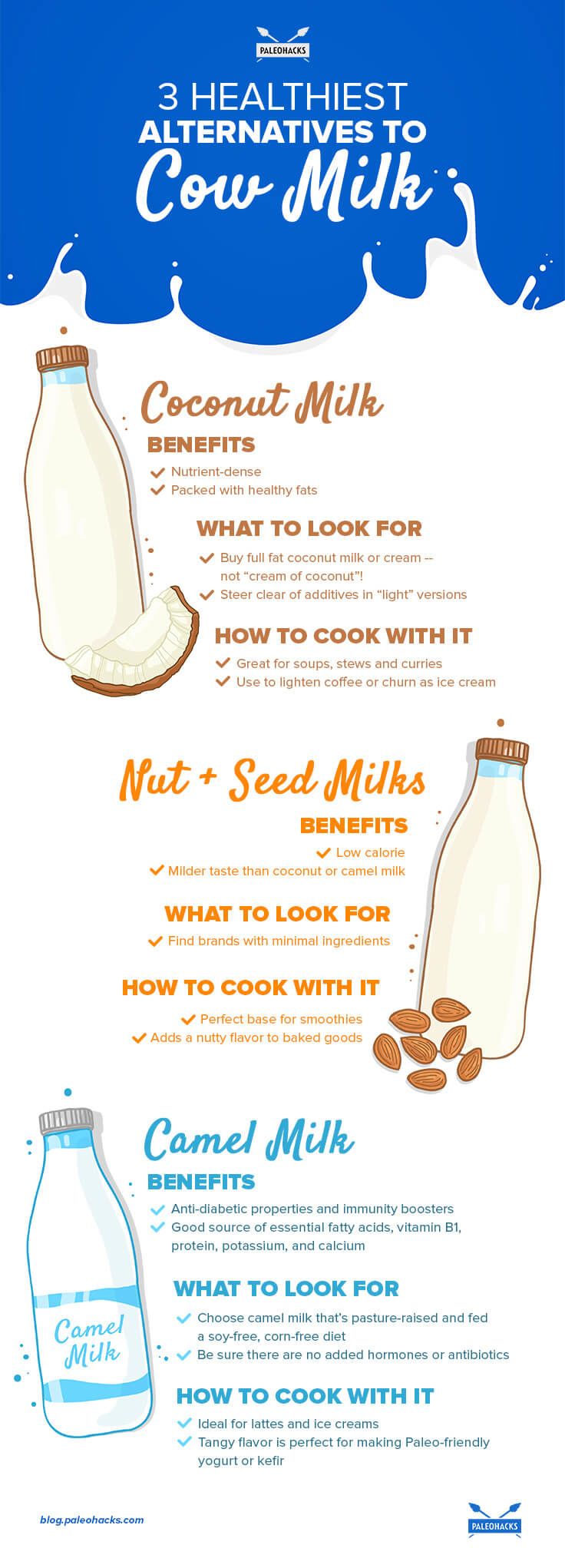 3 Healthiest Alternatives To Cow Milk Coconut Camel And Nut Milks