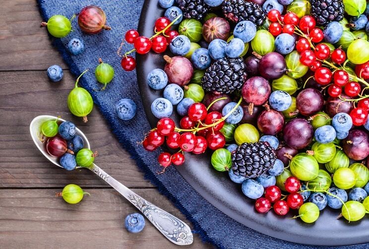 berries as antioxidants