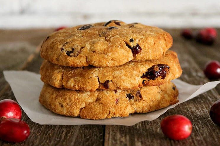 schema-photo-Coconut-Flour-Cranberry-Cookies-Recipe.jpg