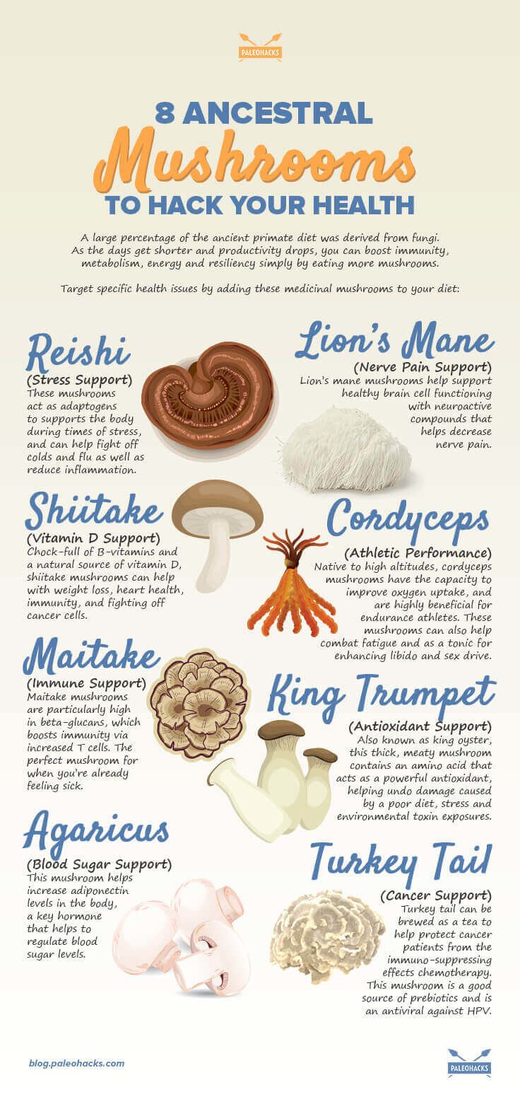 ancestral mushrooms infographic
