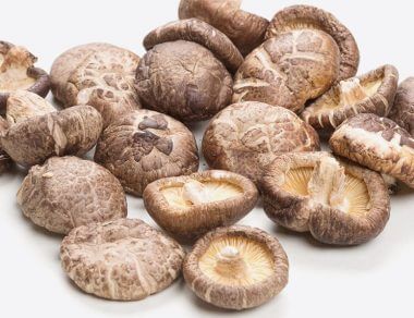ancestral mushrooms featured image