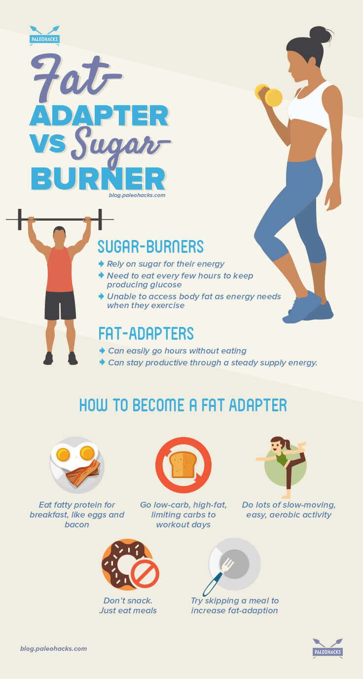 fat-adapter vs sugar-burner infographic