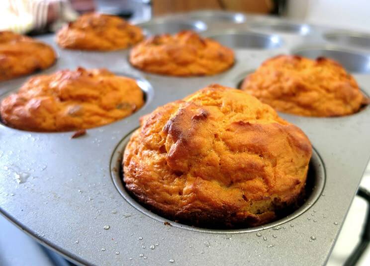 pumpkin protein muffins