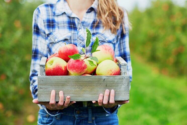 woman with wooden tray of apples