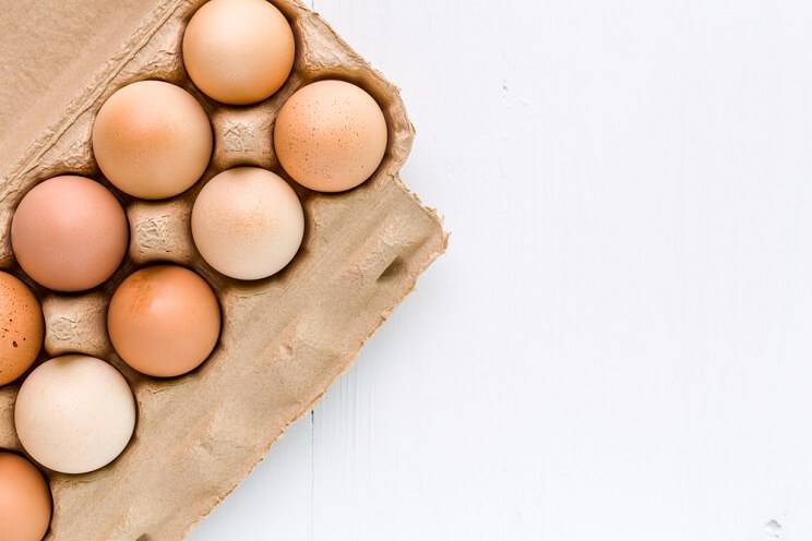 eggs on a white background