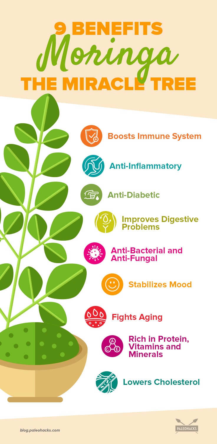 Moringa Health Benefits