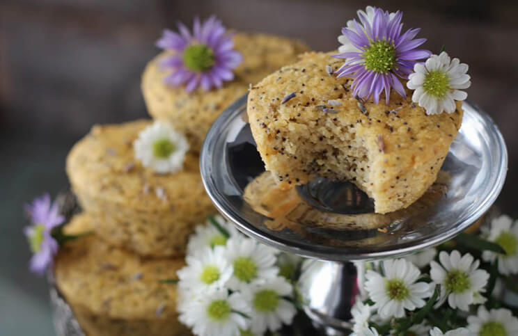 lavender muffins
