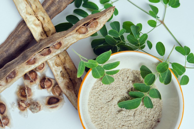 moringa leaves and moringa powder