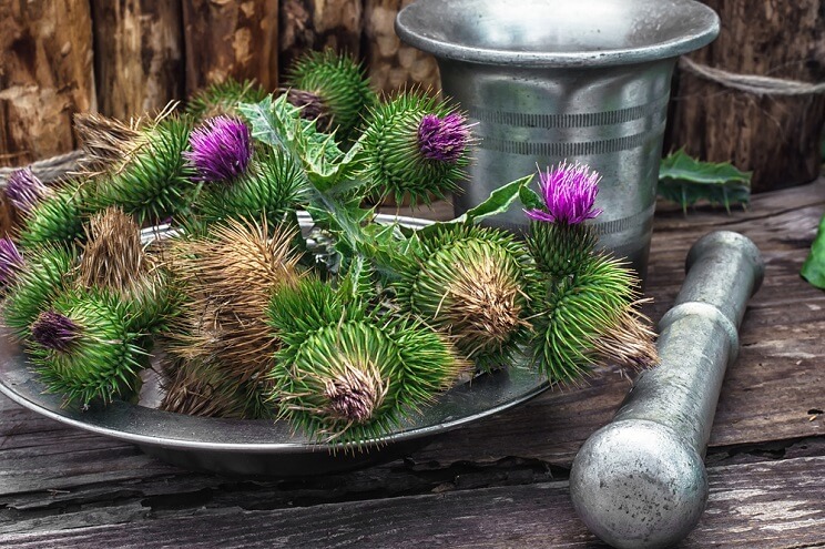 milk thistle with mortar and pestle