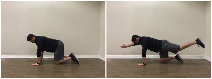 quadruped arm legs to prevent running injuries