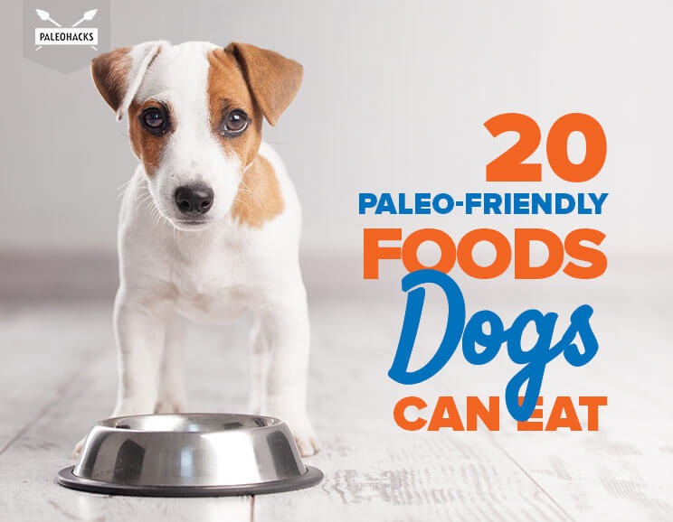 Paleo foods dogs can eat title card