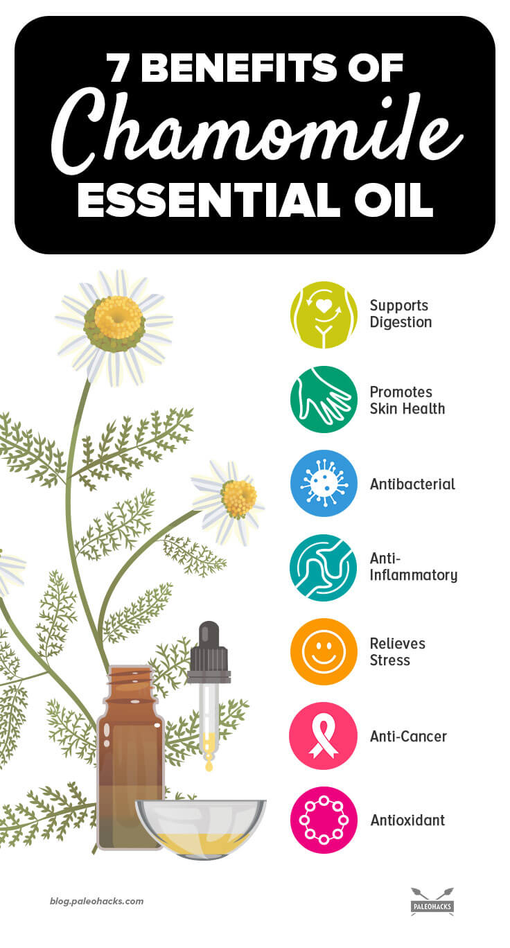 chamomile essential oil infographic