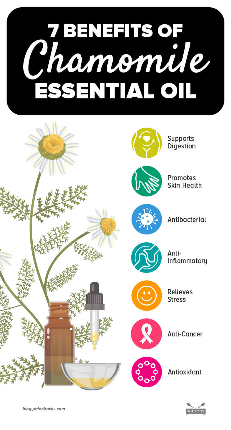 infografía del aceite esencial de manzanilla