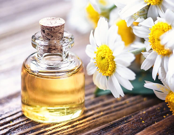 chamomile essential oil featured image