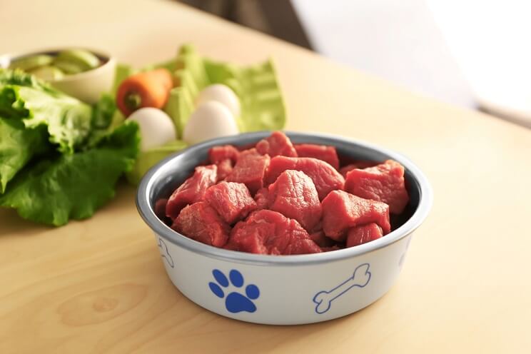 beef in a dog bowl