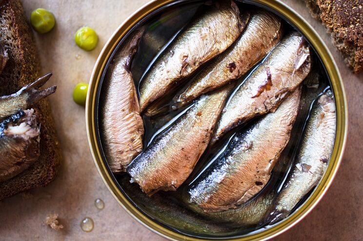 sardines packed in water