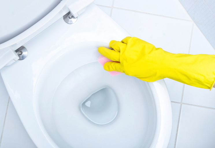 toilet-bowl-cleaner.jpg