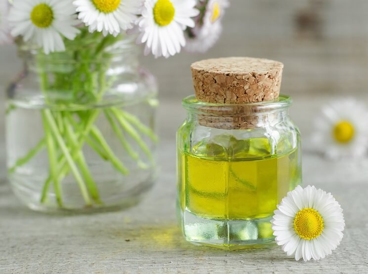 chamomile essential oil