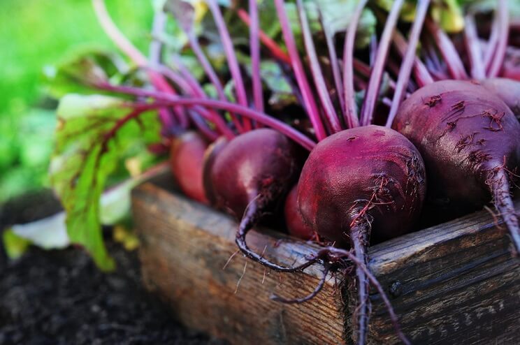 beets