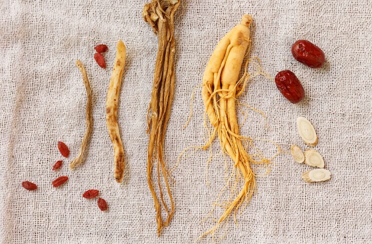 Chinese ginseng