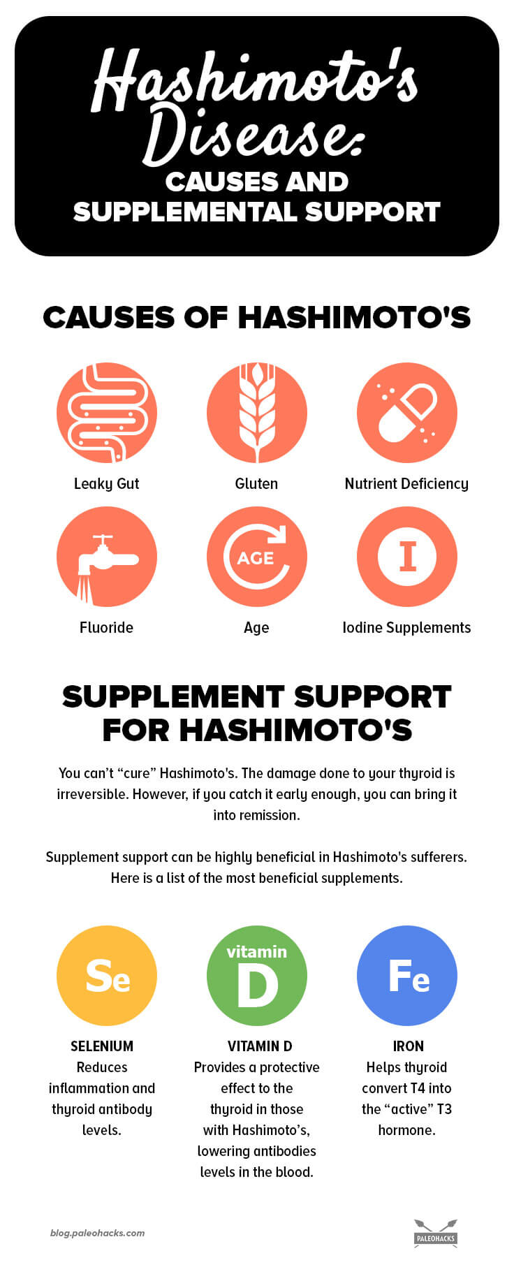 Hashimoto's disease infog