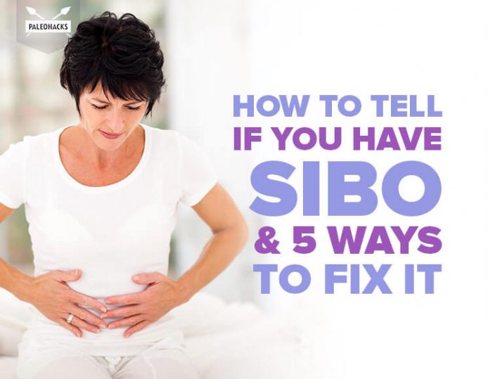 9 symptoms of sibo gut bacteria problem 5 ways to heal it