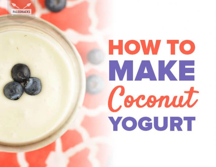 How to Make Dairy Free Coconut Yogurt | PaleoHacks Blog