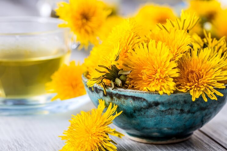 dandelions in a bowl