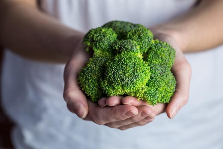 head of broccoli in hands