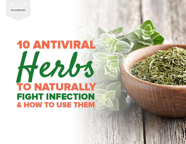10 Antiviral Herbs to Naturally Fight Infection & How to Use Them 2