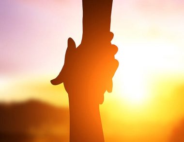 Chronic Conditions and Therapies