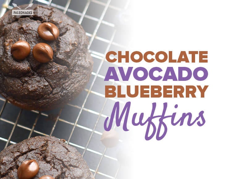 Looking for the perfect muffin? These creamy Paleo blueberry muffins are packed with avocado, blueberries and dark chocolate - an antioxidant dream!