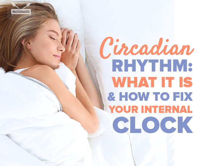 circadian rhythm title card