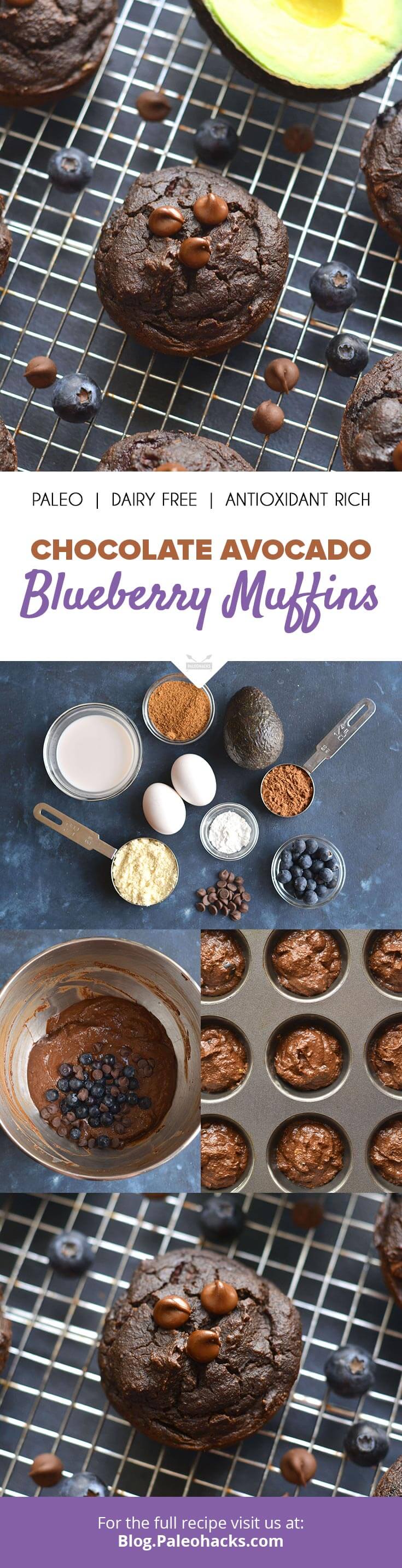 Looking for the perfect muffin? These creamy Paleo blueberry muffins are packed with avocado, blueberries and dark chocolate - an antioxidant dream!