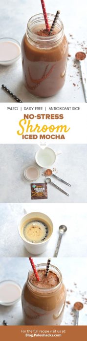 No-Stress Shroom Iced Mocha Recipe | Paleo, Antioxidant Rich