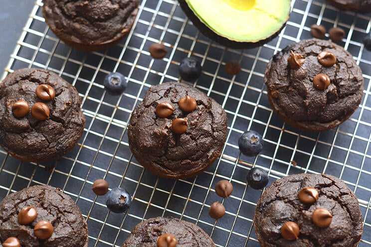 Looking for the perfect muffin? These creamy Paleo blueberry muffins are packed with avocado, blueberries and dark chocolate - an antioxidant dream!