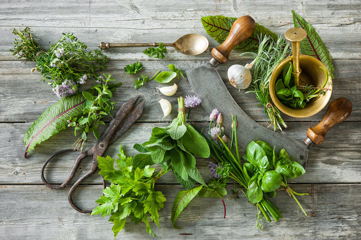 table of different herbs